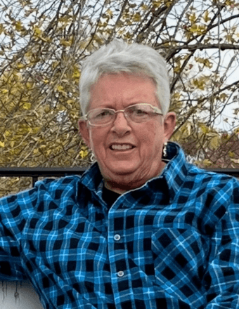 Theresa Ann (Koenig) Schaaf Obituary