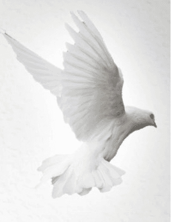 Ruth Louise (Stine) Winslow Obituary